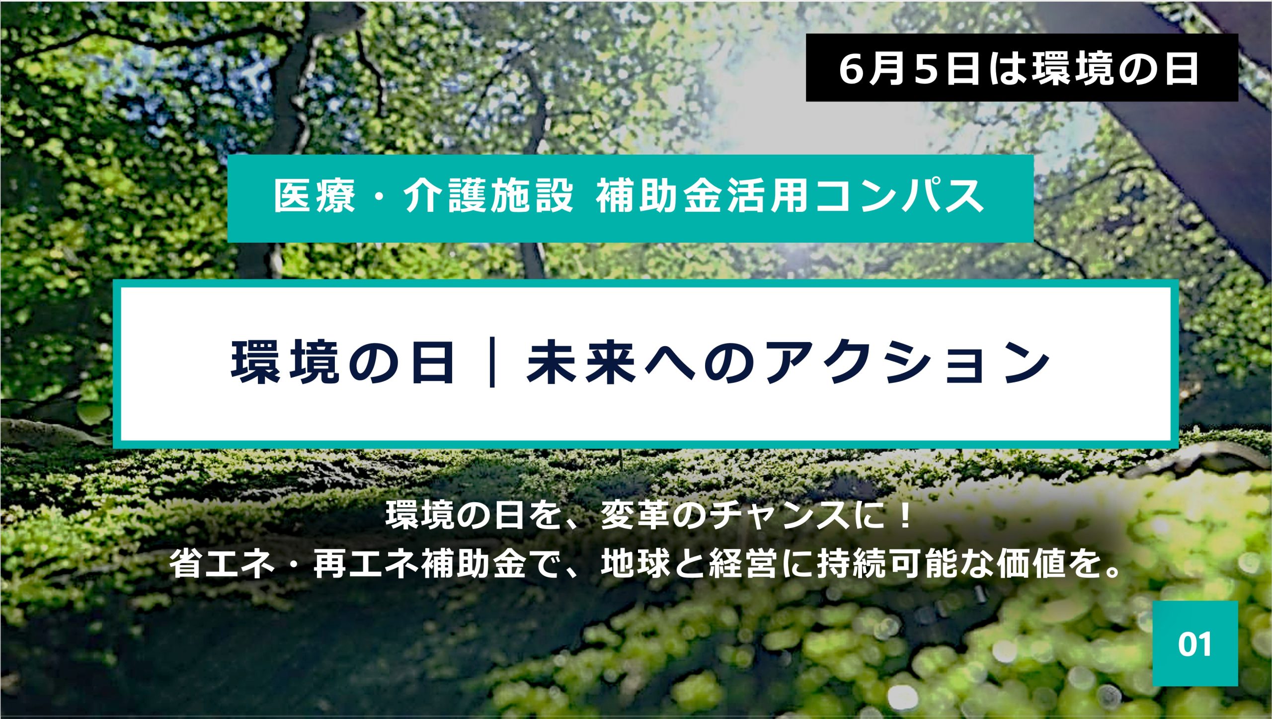 【6月5日は環境の日】医療・介護施設様へ！今こそ光熱費の見直しを。補助金活用で賢くコストダウン【専門家解説】